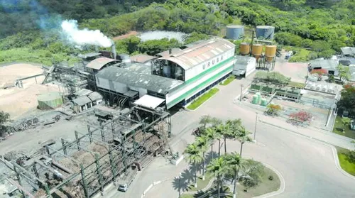 Usinas de AL produziram 57 mil toneladas de açúcar até meados de setembro - Imagem