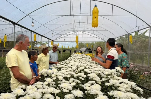 Flores são irrigadas via Wi-Fi em Chã Preta
