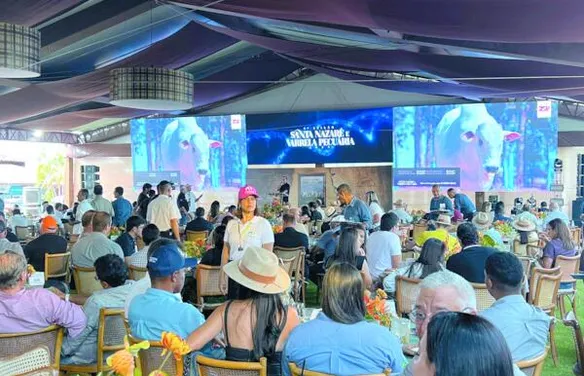 Expoagro-AL projeta edição de grandes negócios, genética e festa do campo na cidade