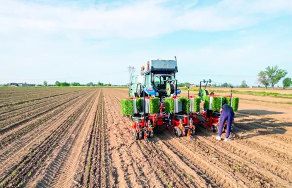 VBP da agropecuária brasileira é estimado em R$ 1,44 trilhão