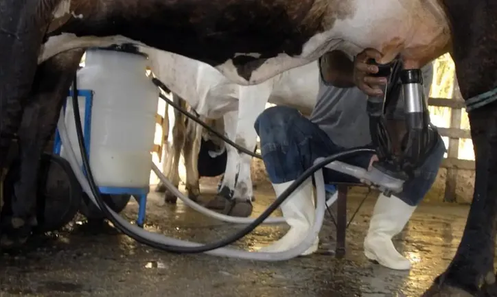 Modernização das propriedades busca melhorar rendimento