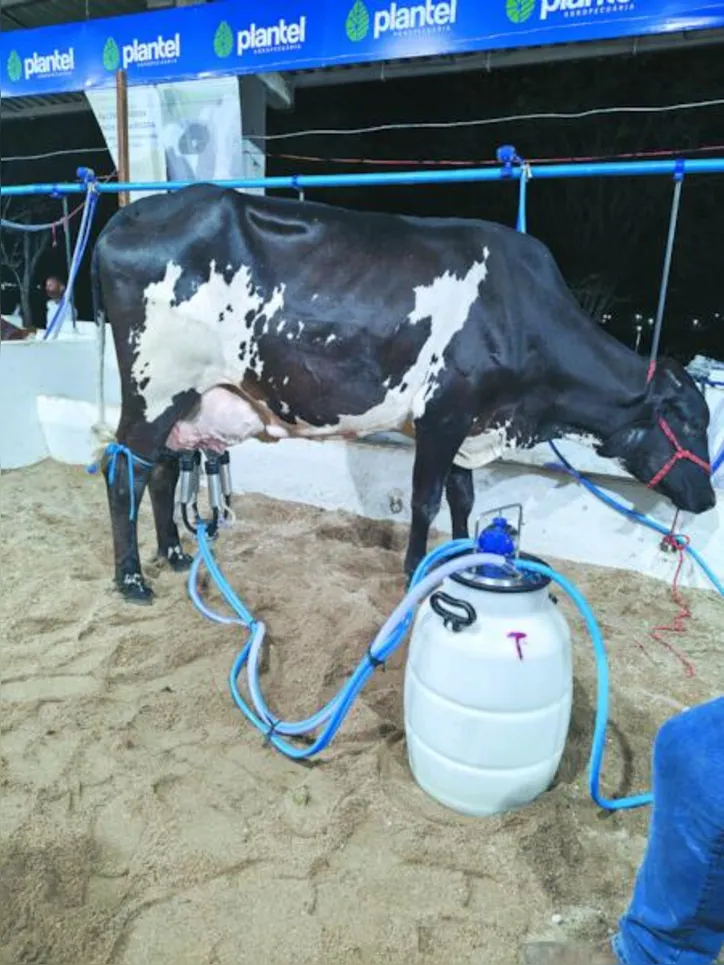 Com a mudança, criador poderá receber bonificação conforme a qualidade do leite