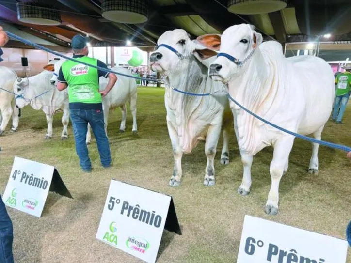Imagem ilustrativa da imagem Expoagro-AL projeta edição de grandes negócios, genética e festa do campo na cidade