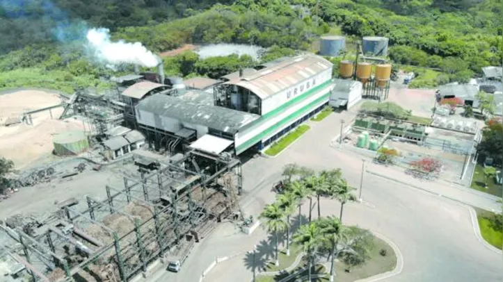 Do total de açúcar produzido pelas unidades industriais do polo agrocanavieiro alagoano, 48.383 toneladas foram de VHP, destinado ao mercado mundial