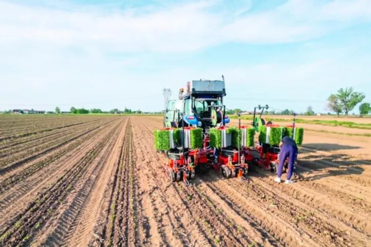Produção vegetal concentra a maior parcela desse montante, com R$ 921,7 bilhões, o equivalente a 64% do total