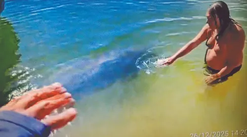 Risco de importunação a animais aumenta na alta temporada em AL - Imagem